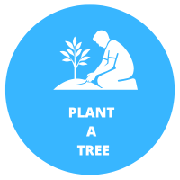 Plant A Tree