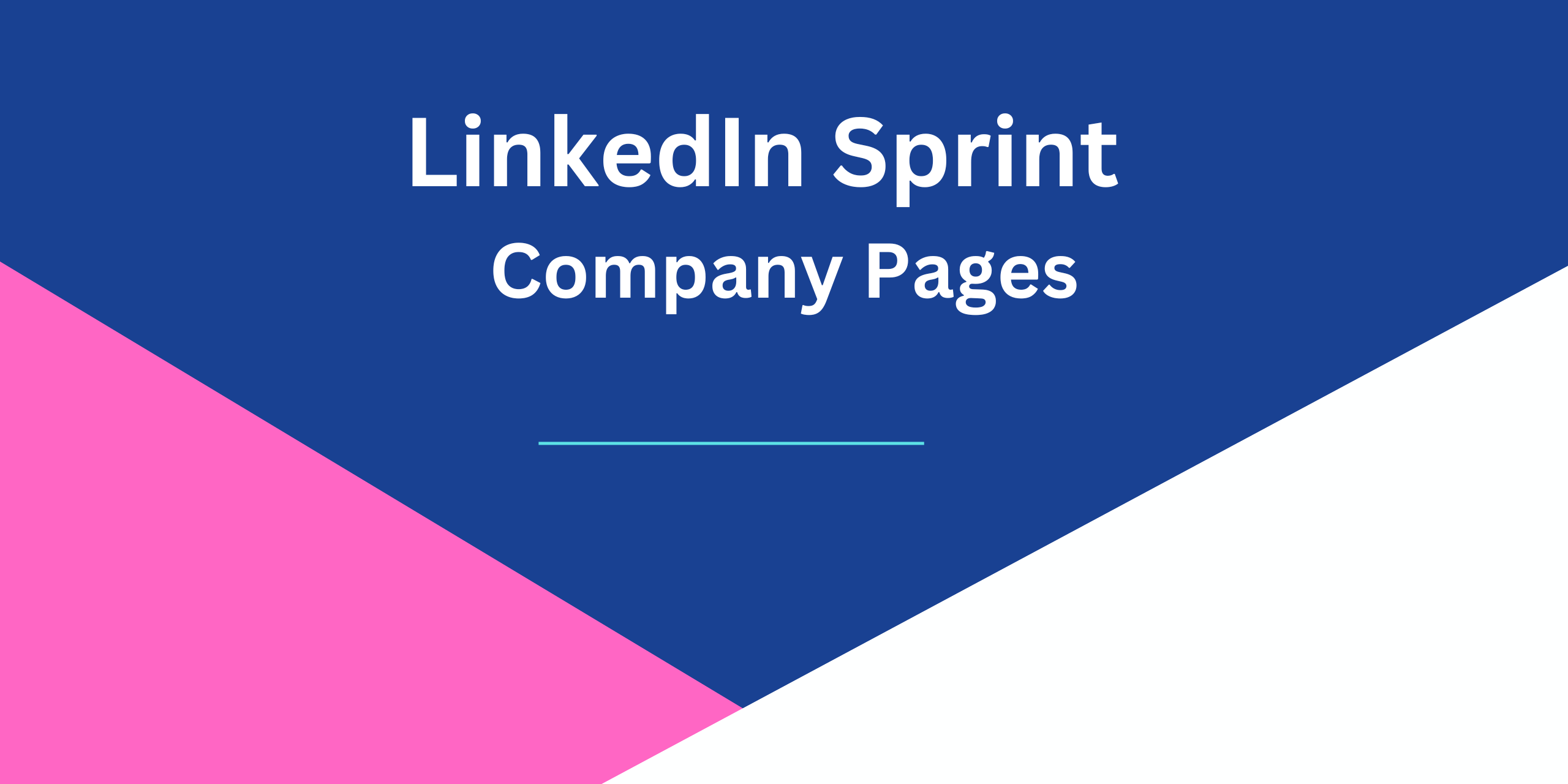 LinkedIn&trade; Company Pages